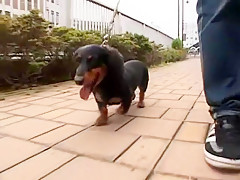 Hottest Japanese whore Nao Kamiki in Incredible Outdoor JAV movie