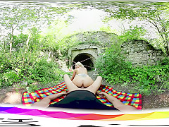 Covert Picnic