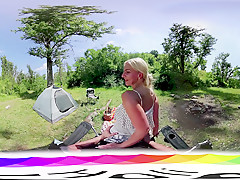 Covert Picnic