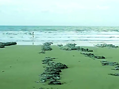 Cold beach nudist