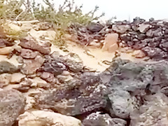 Wife masturbates on beach  then gets fucked