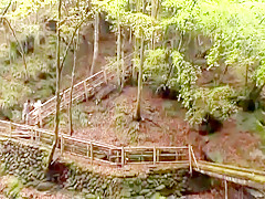 Horny Japanese chick Akiko Kirishima in Exotic Outdoor JAV scene