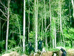 Exotic Japanese girl Tsubomi, Rui Saotome, Riria Himesaki in Incredible Fishnet, Doggy Style JAV video