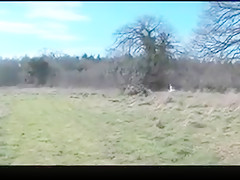 Mistresses use their slaves outdoors