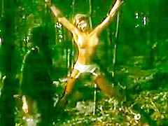 Like a fairy tale the grey wolf and little red riding hood