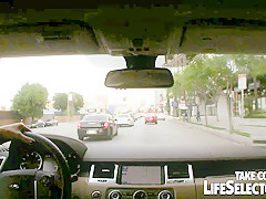 Adventures of a Gardener - LifeSelector