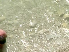 Bh 15971