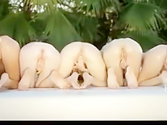 Five girl pussy show