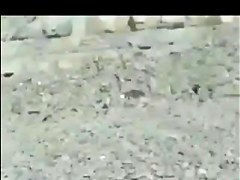 Nudist Group Have Joy On Beach two BVR