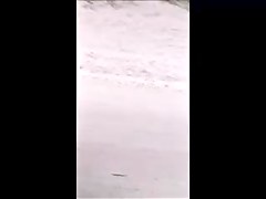 brazilian candid voyeur beach pointer sisters a-hole cameltoe 61