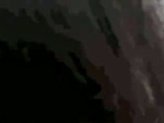 Helping nature, stranded dolphin in Brazil