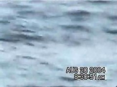 Sassy couple voyeured in the water seems to be fucking