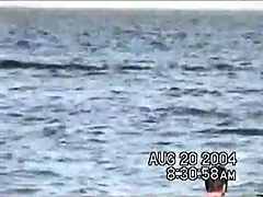 Sassy couple voyeured in the water seems to be fucking