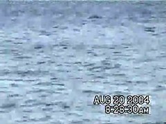 Sassy couple voyeured in the water seems to be fucking