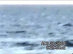 Sassy couple voyeured in the water seems to be fucking