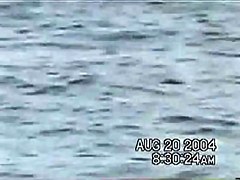 Sassy couple voyeured in the water seems to be fucking