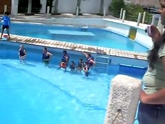 Sexy white wazoo swimming with dolphins on beach voyeur cam