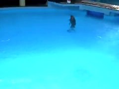 Sexy white wazoo swimming with dolphins on beach voyeur cam