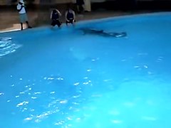 Sexy white wazoo swimming with dolphins on beach voyeur cam