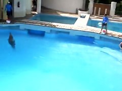 Sexy white wazoo swimming with dolphins on beach voyeur cam