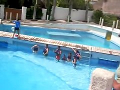 Sexy white wazoo swimming with dolphins on beach voyeur cam