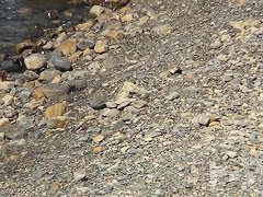 Hidden Zone Exposed beach 7