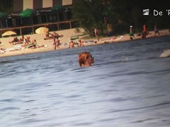 Nude amateur is having entertainment on beach spy camera