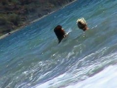 Hot naked babes in candid camera sexy videos