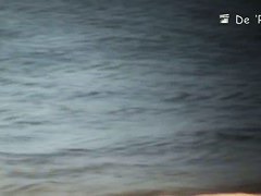 A nude beach voyeur films a funny girl with a pineapple painted on her ass