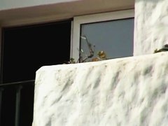 An amazing spy cam shot of some big juicy melons