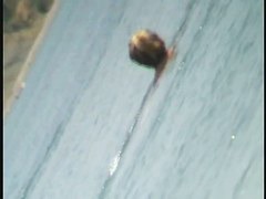 Voyeur beach nudity with hot teen babes topless