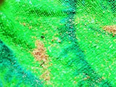 Naked valley at the nudist beach with girls and audlts