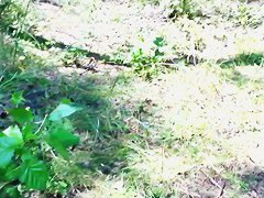 This beach is full with nude babes, boobies and asses