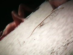 A thrilling nude beach voyeur spy cam video