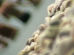 Public amateur nudist hidden voyeur vid
