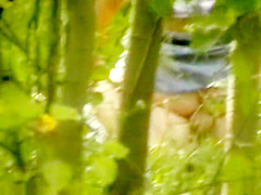 Bh 19067