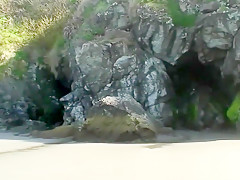 Rafian's Beach Safaris 16