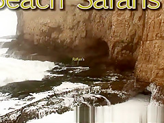 Rafian's Beach Safaris 24