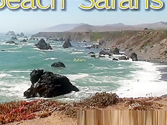 Rafian's Beach Safaris 21