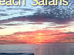Rafian's Beach Safaris 33