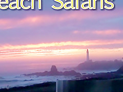 Rafian's Beach Safaris 27