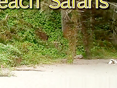 Rafian's Beach Safaris 26
