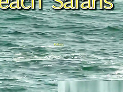 Rafian's Beach Safaris 32