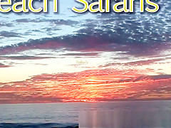 Rafian's Beach Safaris 30