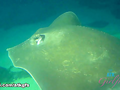 Kenzie Reeves in Kenzie Enjoys The Nude Beach, And The Aquarium - ATKGirlfriends
