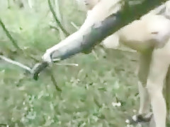 Outdoor Sex.mp4