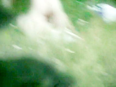 Bh 19043