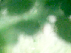 Bh 19043