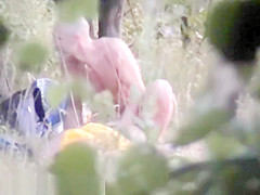 Bh 18357