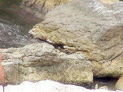 Bh 19811